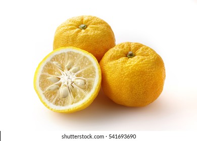 Yuzu. Japanese Citron