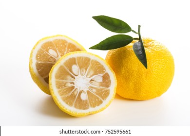 Yuzu. Japanese Citron