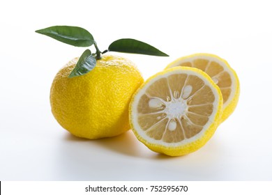 Yuzu. Japanese Citron