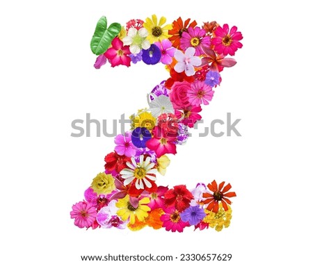 Z shape made of various kinds of flowers petals isolated on transparent background, PNG