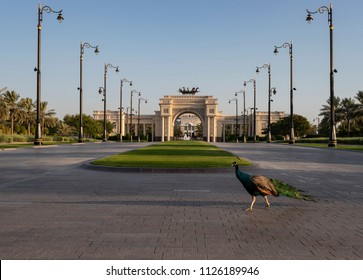  Za'abeel Palace - Sheikh Mohammed Bin Rashid Al Maktoum Palace