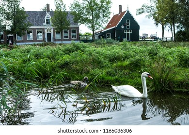Zaandam (Dutch Pronunciation Is A City In The Province Of North Holland, Netherlands. It Is The Main City Of The Municipality Of Zaanstad, And Received City Rights In 1811.