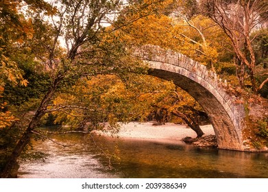 Zagorochoria の画像 写真素材 ベクター画像 Shutterstock