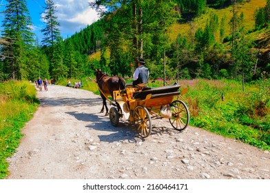 Zakopane, Malopolska Voivodeship, Poland - August 9, 2019: A Highlander Rides A Traditional Horse-drawn Carriage. Picturesque Chocholowska Valley. Travel And Tourism In Tatra Mountains. 