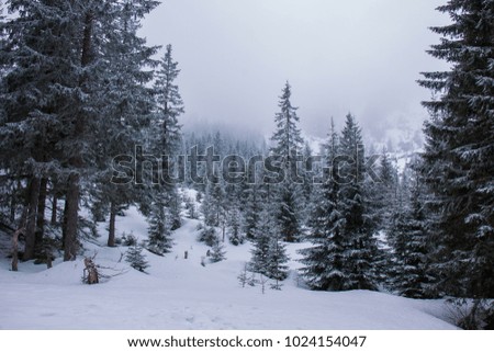 Zakopane Ski Resort Tatry Poland Stock Photo Edit Now 1024154047