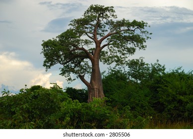 Zambia - Kafue National Park