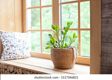 Zamioculcas home plant in a straw pot on a windowsill. Comfort. The decor of the room. The concept of home gardening. Zamioculcas potted on the windowsill of the house. Scandinavian. place for text - Powered by Shutterstock