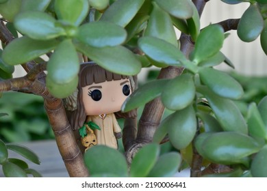 Zaporizhzhia, Ukraine - August 13, 2022: Illustrative Editorial Of Funko Pop Action Figure Of Hermione Granger With Mandrake From Movie Harry Potter. Toy Hiding Among Small Leaves Of Green Plant.