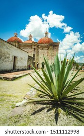 Zapotec Ruins 