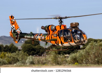 ZARAGOZA, SPAIN - MAY 20,2016: Tiger Painted French Army SA341 Gazelle Helicopter Landing On Zaragoza Airbase.