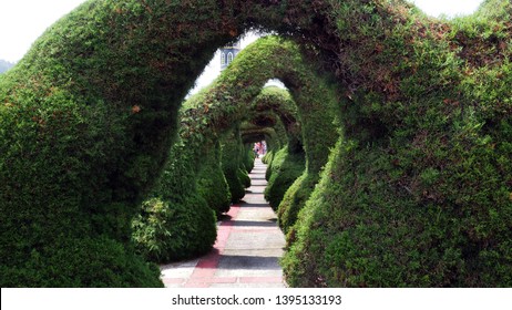 Zarcero / Costa Rica - May 3, 2019: A Topiary Carved By The Master Sculptor Evangelista Blanco In Zarcero, Costa Rica.