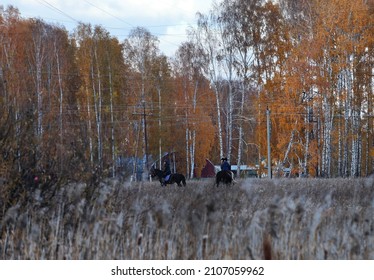 Zavodoukovsk City, Tyumen Region, Russia, October 10, 2021: Riders On Horses Behind Reeds. A School For Children.