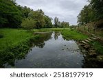 Obrški zdenec - river Obrščica spring near Dragatuš in Bela krajina, Slovenia