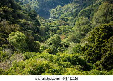 Zealandia Bird Sanctuary