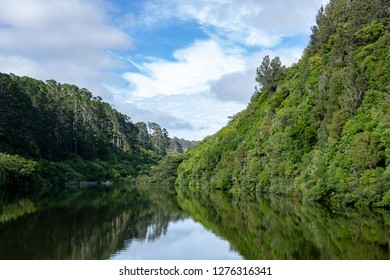 Zealandia Eco-sanctuary Water Reservoir