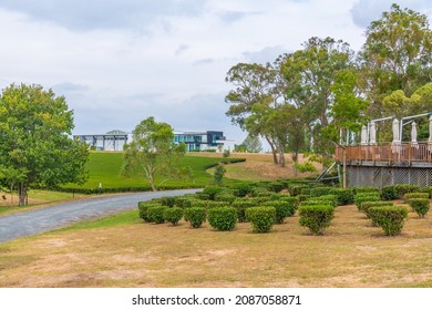 Zealong Tea Estate At Hamilton, New Zealand