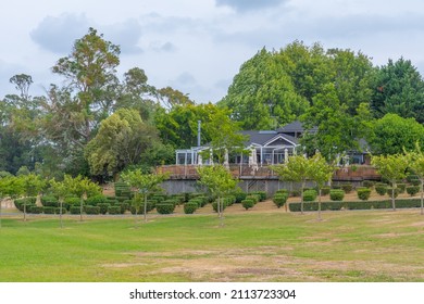 Zealong Tea Estate At Hamilton, New Zealand