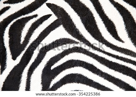 zebra background, black and white stripes