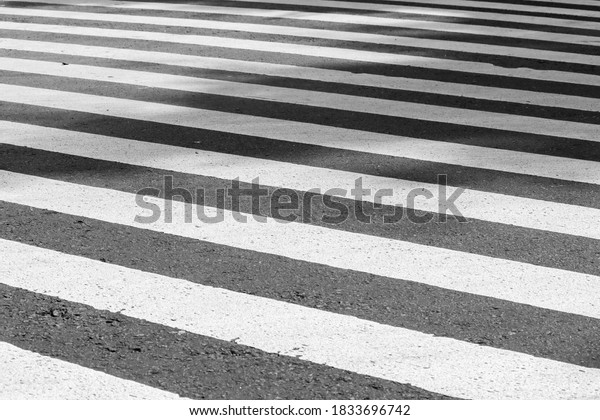 zebra cross in black and\
white. can be used for smartphone and tab wallpaper; selected focus\
