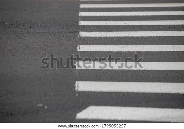 Zebra cross walk on asphalt\
road.