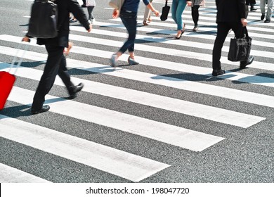 Zebra Crossing