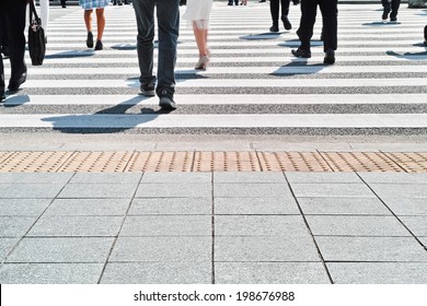 Zebra Crossing