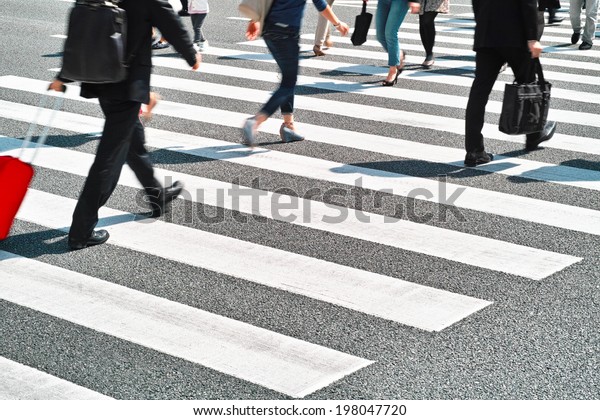 zebra
crossing