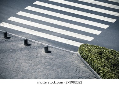 Zebra Crossing By Top View