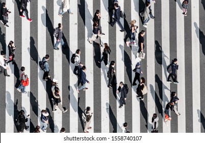 Zebra Crossing   Ginza Street Crowd Walk On Crosswalk Tokyo Japan