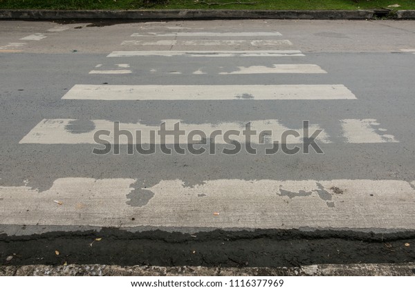 Zebra crosswalk on the\
road for safety when people walking cross the street, Pedestrian\
crossing, asphalt road, White lines and crosswalk on street\
background  