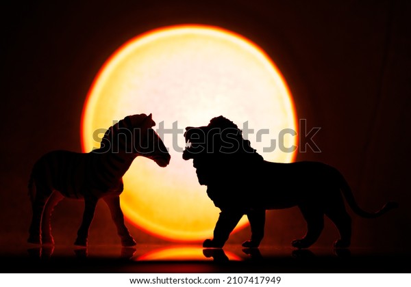 Zebra and lion silhouette. African\
animals. Predator and prey against the backdrop of the sun. Hunting\
in the wild world against the backdrop of sunset or\
dawn