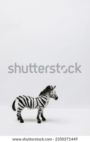 Similar – To blur a zebra 2.0 Zebra