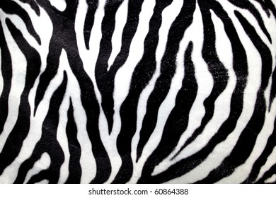 Zebra Skin Background