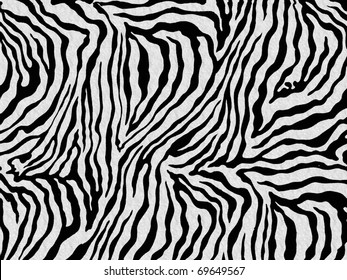 Zebra Skin Background