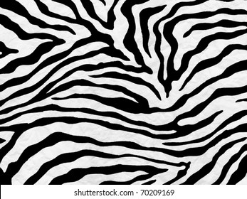 zebra skin pattern