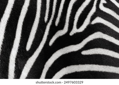 zebra skin texture, zebra animal skin. - Powered by Shutterstock