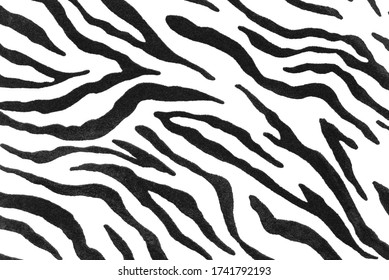 Zebra Texture. Black And White Animal Fur Pattern