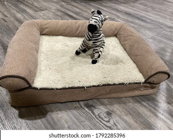 Zebra Toy In A Dog’s Bed