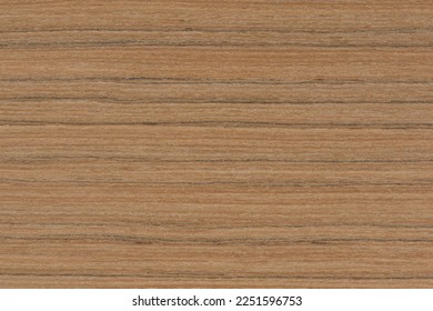 Zebra tree. Texture of brown wood with horizontal black stripes. African zebrano wood texture on macro. Photo in very high resolution.