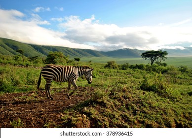NGORONGORO CRATER GLOSSY POSTER PICTURE PHOTO conservation area tanzania 1587 
