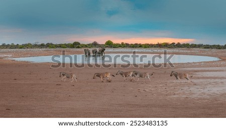 Similar – Image, Stock Photo Elephants near lake in tropical forest in Thailand