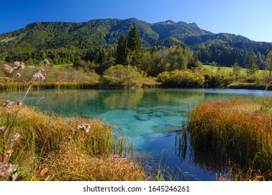 Zelenci - Sava Dolinka River Source In Green Lake