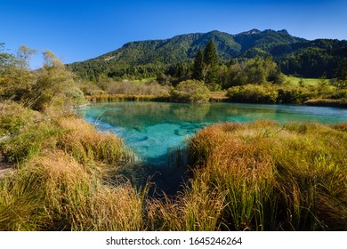 Zelenci - Sava Dolinka River Source In Green Lake