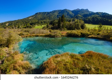 Zelenci - Sava Dolinka River Source In Green Lake