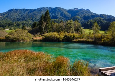 Zelenci - Sava Dolinka River Source In Green Lake