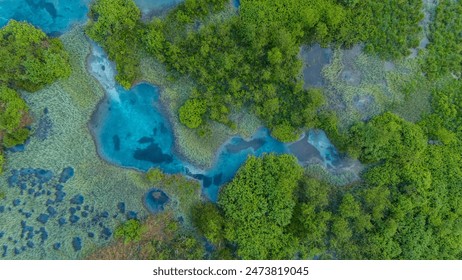 Zelenci Springs from Above: Capturing Slovenia's Natural Beauty - Powered by Shutterstock
