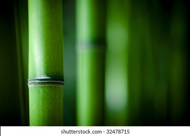 Zen Bamboo Images Stock Photos Vectors Shutterstock