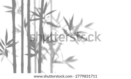 Zen bamboo leaf shadow overlay on transparent background for tropical botanical mockup texture, realistic dappled natural sunlight photography.