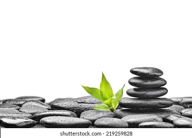 zen basalt stones and bamboo isolated on white - Powered by Shutterstock