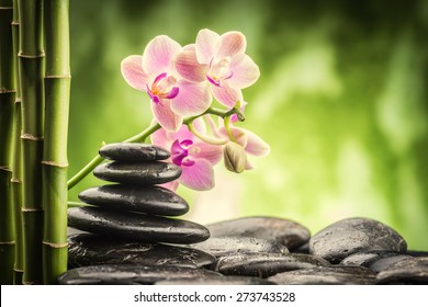 zen basalt stones ,orchid and bamboo